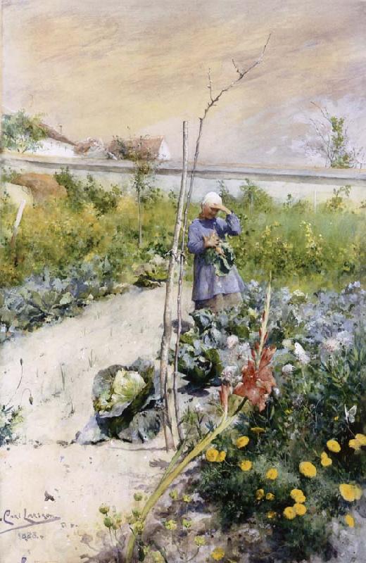 Carl Larsson IN Kokstradgarden Spain oil painting art